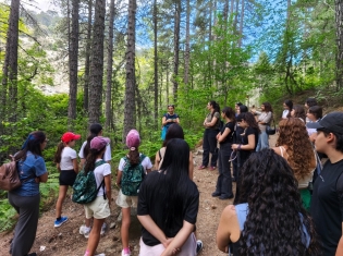 Art Camp -  Περιβαλλοντικό Κέντρο Πεδουλά - 16-19 Ιουνίου 2026