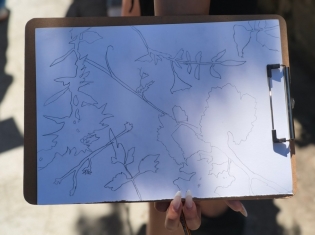 Art Camp -  Περιβαλλοντικό Κέντρο Πεδουλά - 16-19 Ιουνίου 2026